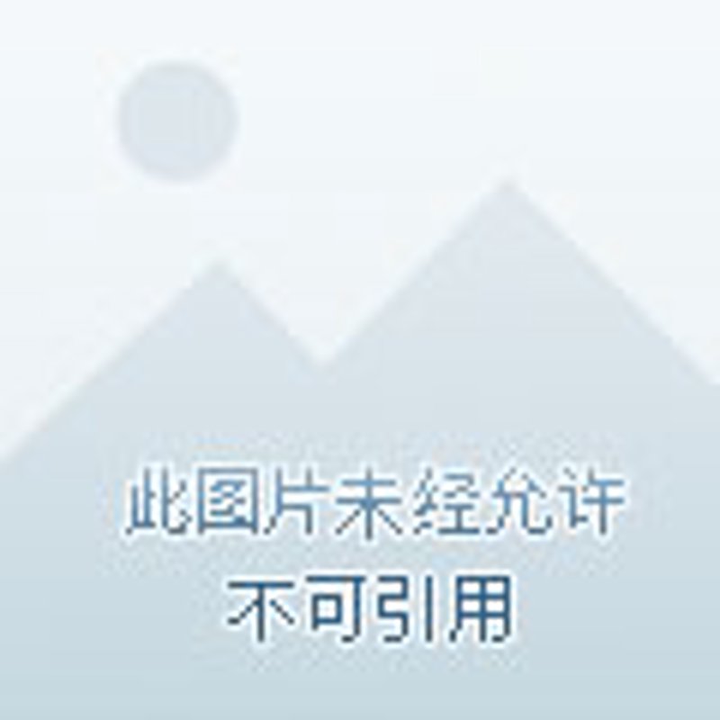 隐私条款